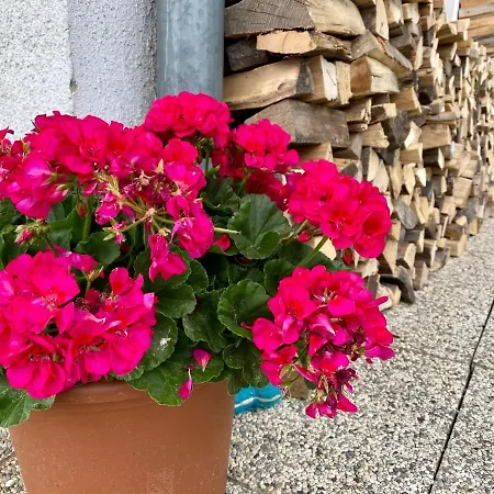 Karawankenblick Wurzen